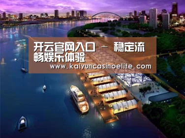 案例展示八