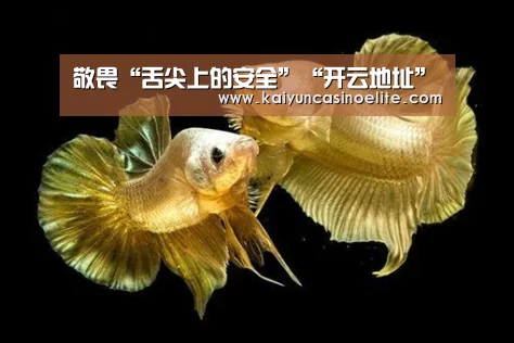 敬畏“舌尖上的安全”“开云地址”(图2) 开云地址