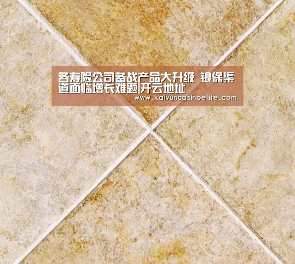 各寿险公司备战产品大升级 银保渠道面临增长难题|开云地址(图1) 开云百家乐
