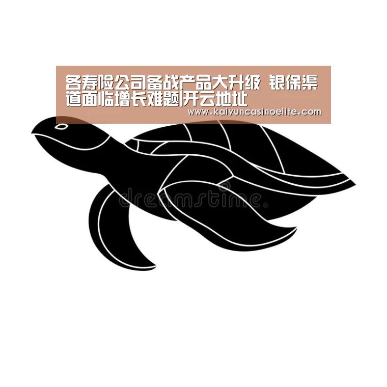 各寿险公司备战产品大升级 银保渠道面临增长难题|开云地址(图3) 开云地址