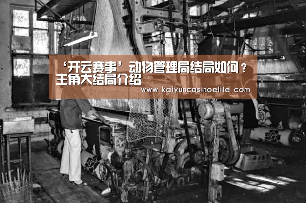 开云赛事
