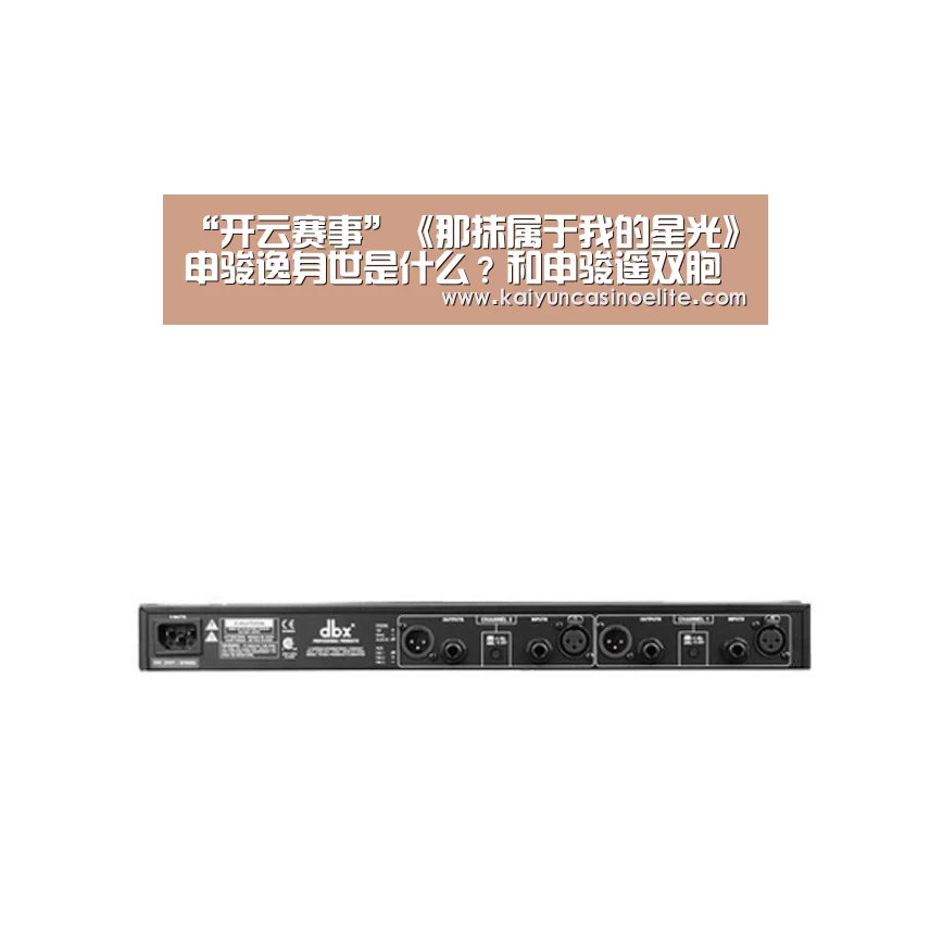 “开云赛事”《那抹属于我的星光》申骏逸身世是什么?和申骏遥双胞胎(图1) 开云赛事