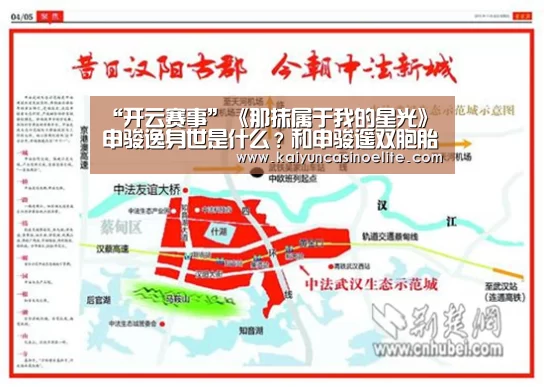“开云赛事”《那抹属于我的星光》申骏逸身世是什么?和申骏遥双胞胎(图2) 开云赛事