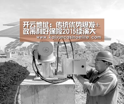开云地址:传统优势爆发+政策利好保险2015续演大象起舞?(图1) 开云入口