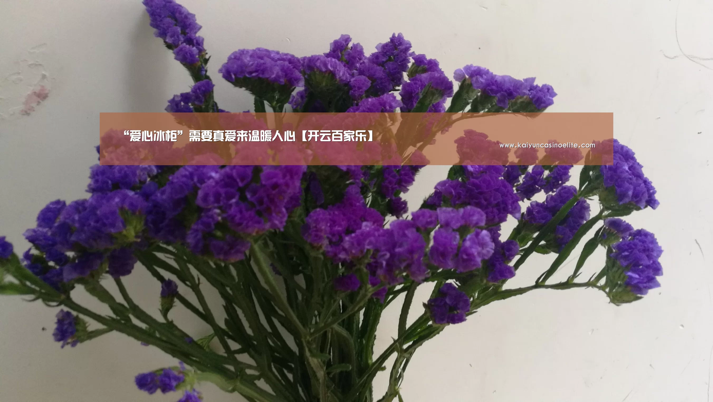 “爱心冰柜”需要真爱来温暖人心【开云百家乐】(图3) 开云百家乐