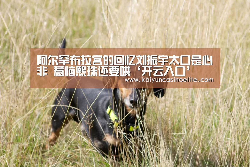 阿尔罕布拉宫的回忆刘振宇太口是心非 惹恼熙珠还要哄‘开云入口’(图1) 开云百家乐